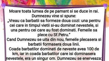 BANCUL ZILEI | Ce se întâmplă cu bărbații în Rai, de fapt