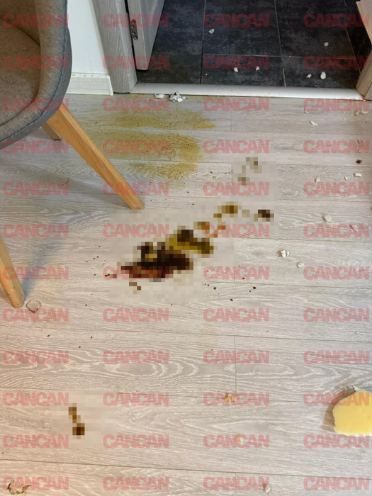 Mizerie de nedescris în apartamentul unde Calina a locuit în chirie.