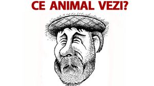 Test IQ | Ce animal vezi în această fotografie? Doar 6 din 10 observă detaliul