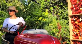 Galerie foto - poza 4