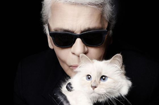 Pisica lui Karl Lagerfeld, ”în doliu”. Choupette le-a „mulțumit” fanilor pe Instagram