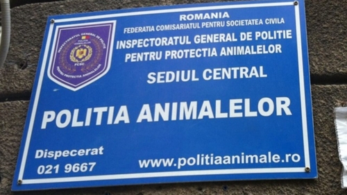 Imagini terifiante în Vaslui. Un copil torturează și aruncă un pui de pisică în gura unui câine sub privirile amuzate ale mamei. FOTO