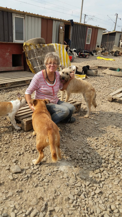 Maria salvează câini de mai bine de 10 ani