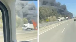 Ionuț și Mădălina, doi soți din Dâmbovița, au murit într-un accident rutier cumplit. TIR-ul în care se aflau a luat foc