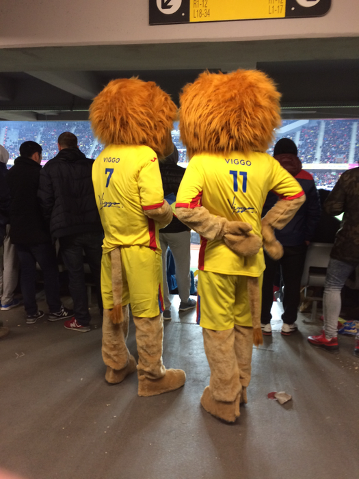 Mascotele Naţionalei