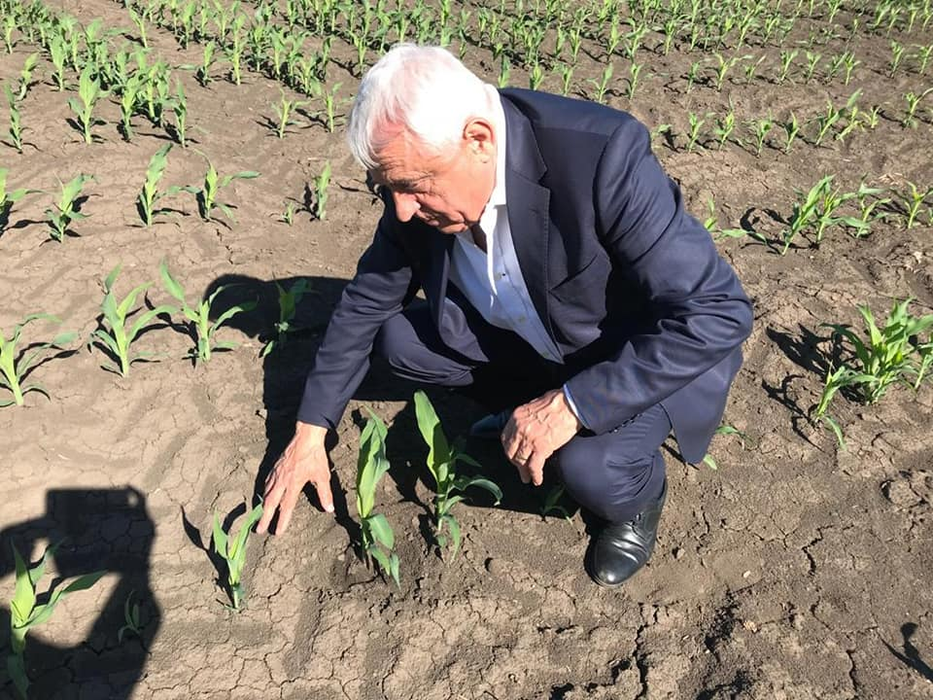 Șoc înainte de Crăciun! Soția lui Petre Daea a cerut ordin de protecție împotriva fostului ministru al Agriculturii!