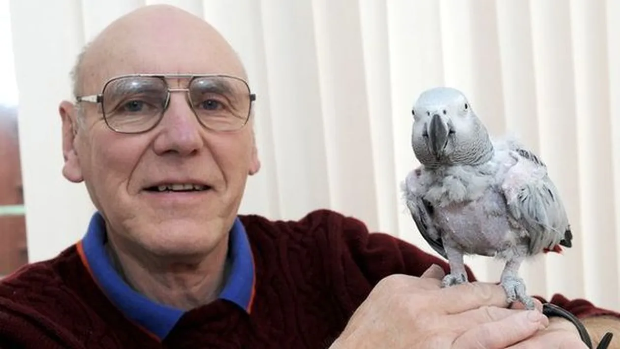 A chemat un taxi pentru a se întoarce la stăpânul său! Ai fi crezut că papagalii sunt atât de inteligenţi?