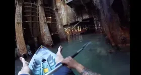 Galerie foto - poza 4