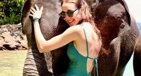 Galerie foto - poza 3