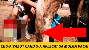 Daniela Crudu, scene XXX la TV! Ce s-a vazut cand s-a aplecat sa mulga vaca