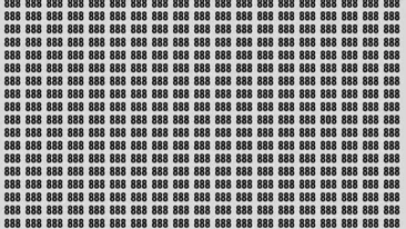 Test de perspicacitate | Găsiți numărul 808 ascuns printre 888 din imagine