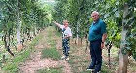 Galerie foto - poza 2