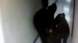 VIDEO REVOLTATOR Angajatii de la morga tarasc cadavrele pe jos