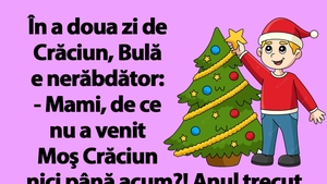 BANC | De ce nu a venit Moș Crăciun la Bulă
