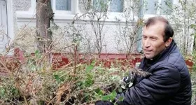 Galerie foto - poza 2