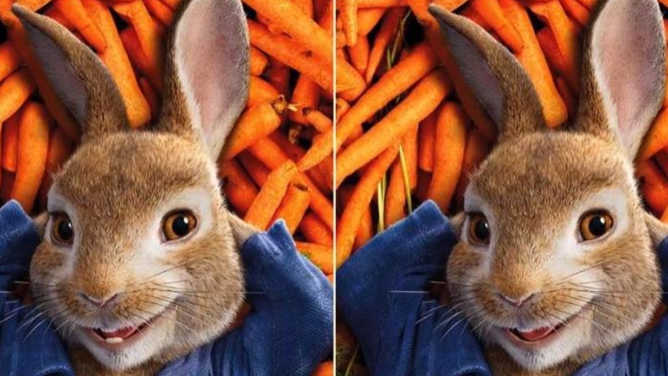 TEST IQ | Găsește diferențele dintre aceste 2 imagini. Dacă o faci în 10 secunde, ești un geniu!