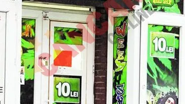 Sectorul 1 pune stop etnobotanicelor!