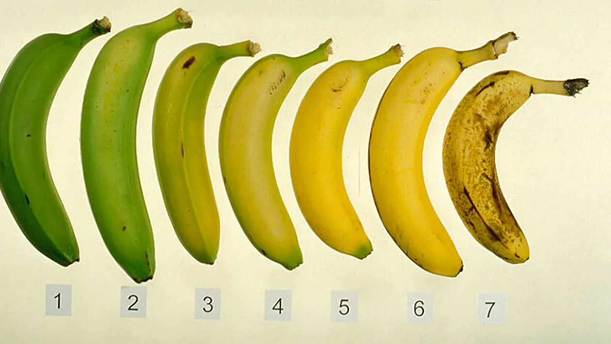 A incercat sa faca banane invelite in ciocolata si sa le duca la scoala, acum nu mai are voie in institutie! Vezi de ce!