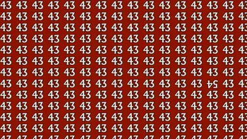 Test IQ | Găsiți numărul 54 ascuns printre 43. Geniile îl descoperă în doar 20 de secunde