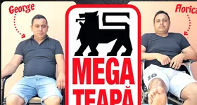 Galerie foto - poza 3