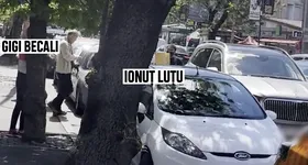 Galerie foto - poza 3