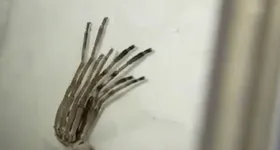 Galerie foto - poza 1