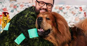 Galerie foto - poza 4