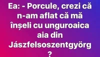 BANC | Porcule, crezi că n-am aflat că mă înșeli cu unguroaica aia din Jaszfelsoszentgyorg?