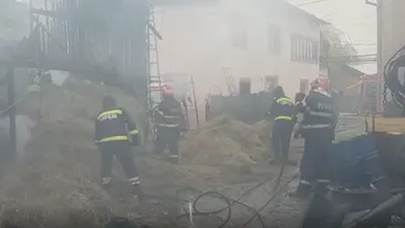 Incendiu violent la un adăpost de animale din Argeș. Zeci de porci au fost carbonizați