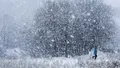 NINSORILE revin în forță în România. Stratul de zăpadă va atinge și 8 cm. Temperaturile scad brusc în toată țara