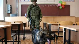 „Marionetele Kremlinului”. Cum sunt instruiți profesorii ruși să depisteze eventuale „porniri criminale” în rândul studenților străini