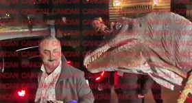 Galerie foto - poza 4