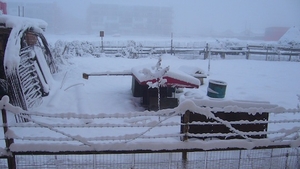 Ger ca in Siberia! In dimineata aceasta la ora 8:00 s-a inregistrat cea mai mica temperatura din acest sezon