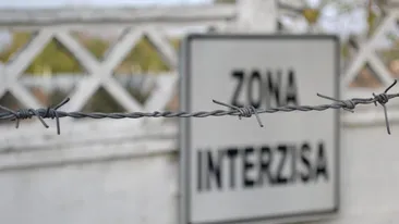 Secretele revoltelor din Poarta Albă: proteste, abuzuri și intervenții în forță