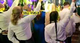 Galerie foto - poza 2