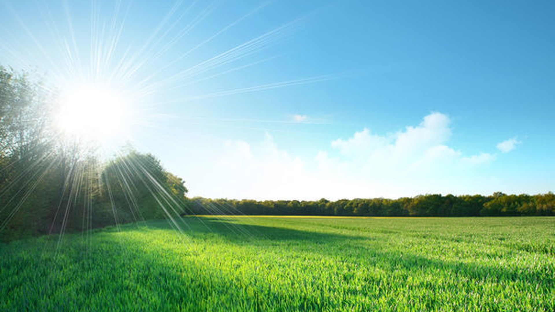 METEO 11 IULIE! Vremea va fi călduroasă, iar disconfortul termic se va accentua!