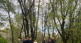 Galerie foto - poza 2