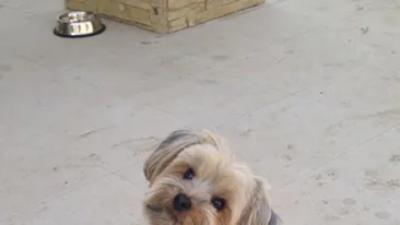 Laura Cosoi nu mai este singura? El imi umple viata cu zambete si sufletul cu fericire!