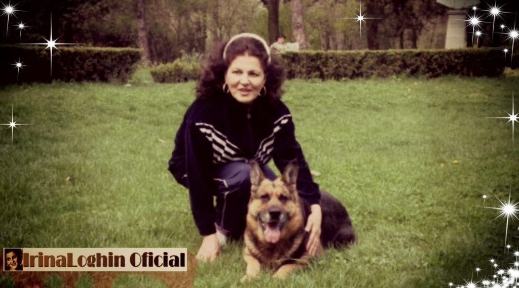 Ce vârstă are pisica ta în ani omenești. Calculul e foarte simplu! Vezi ce vedete preferă micuțele feline și cine a ales să își ia câine