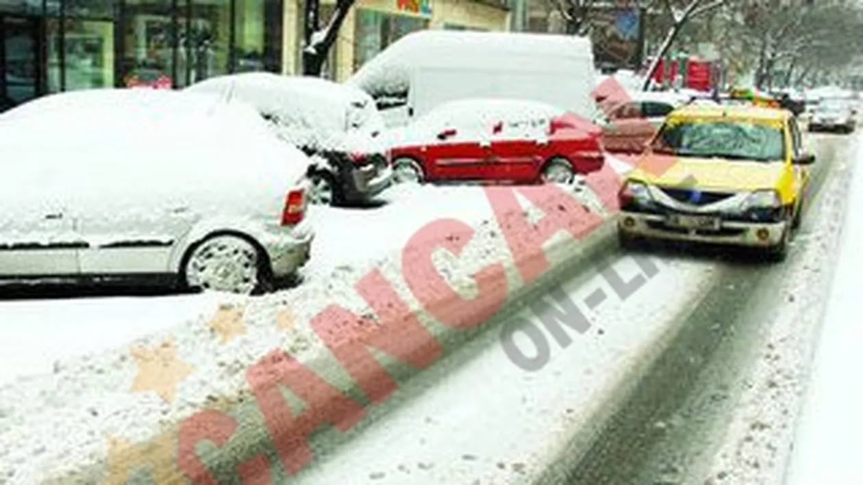 Ninge toata saptamana