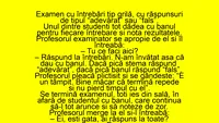 BANCUL ZILEI | Examen cu întrebări tip grilă, adevărat sau fals