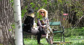 Galerie foto - poza 2