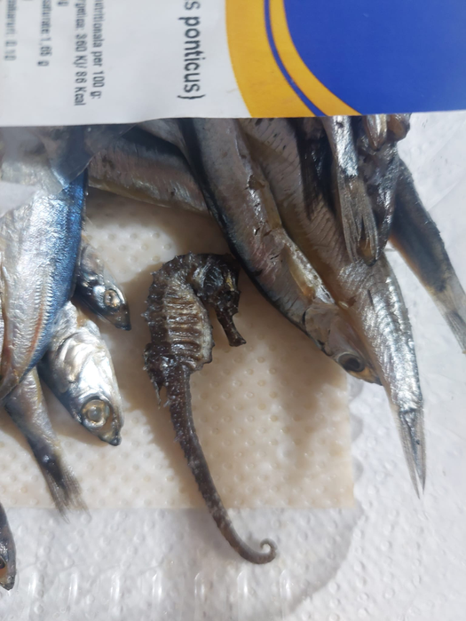 O femeie a găsit un căluț de mare într-o caserolă cu hamsii.