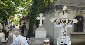 Galerie foto - poza 2