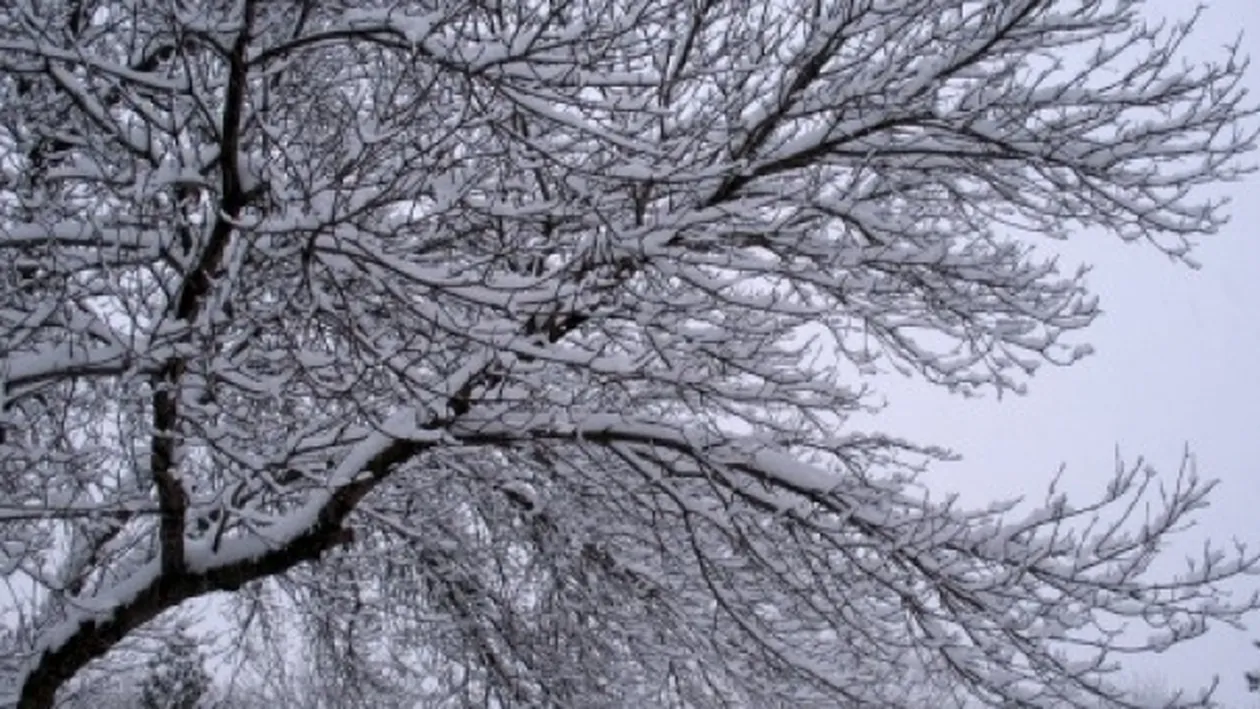 Meteo 22 februarie. Afla cum va fi vremea duminica, dar si cum sa te imbraci