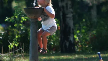 Baietelul Corinei Bud si-a descoperit pasiunea pentru alpinism. Robin s-a transformat in Spiderman