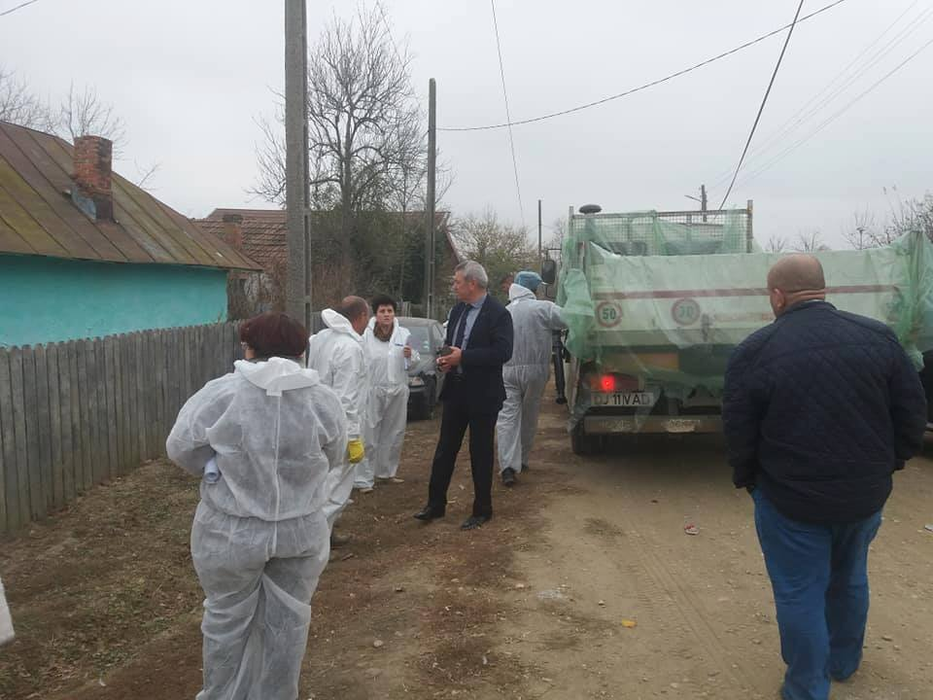 Echipele de ucidere a porcilor, gata de acțiune