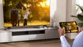 Două televizoare la ofertă la Altex: Smart TV Hisense costă 599 de lei, dar ce oferă modelul de 349 de lei