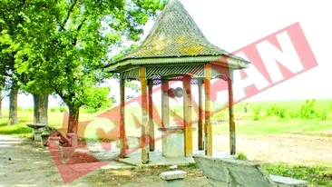 Hacuita de fostul sot si aruncata intr-o fantana