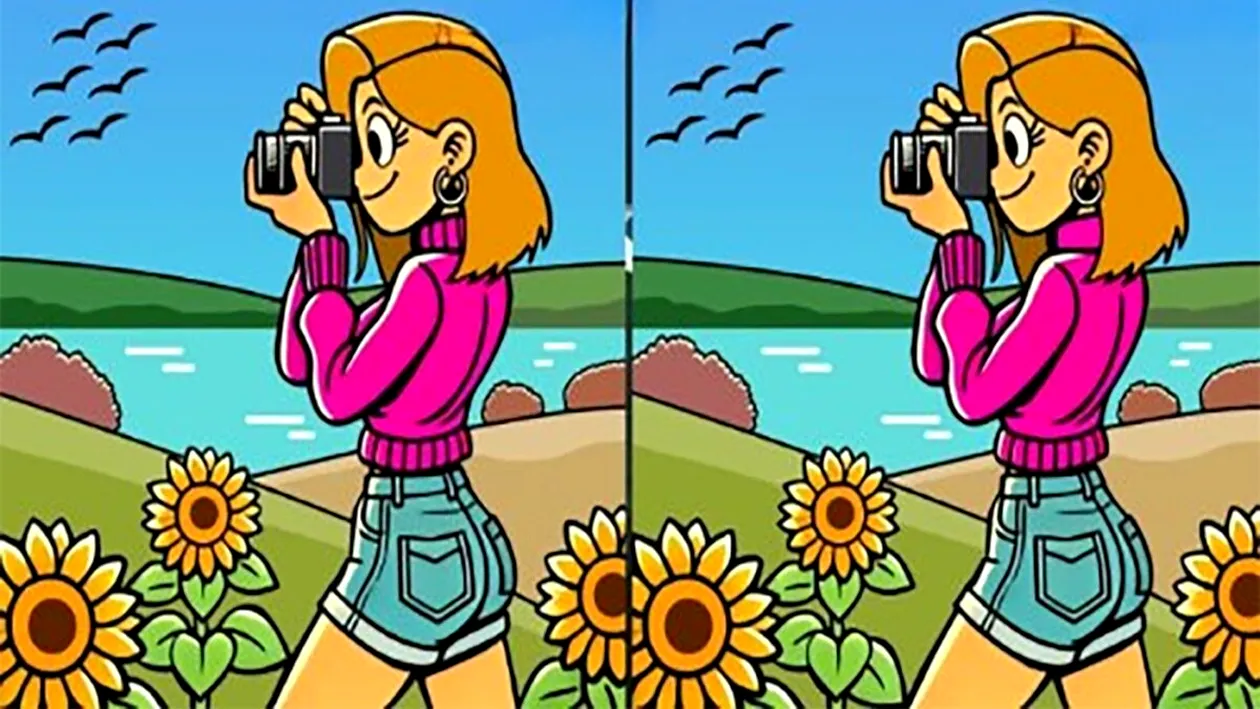 TEST IQ | Există 3 diferențe între aceste două poze. Găsiți-le în cel mult 31 de secunde!